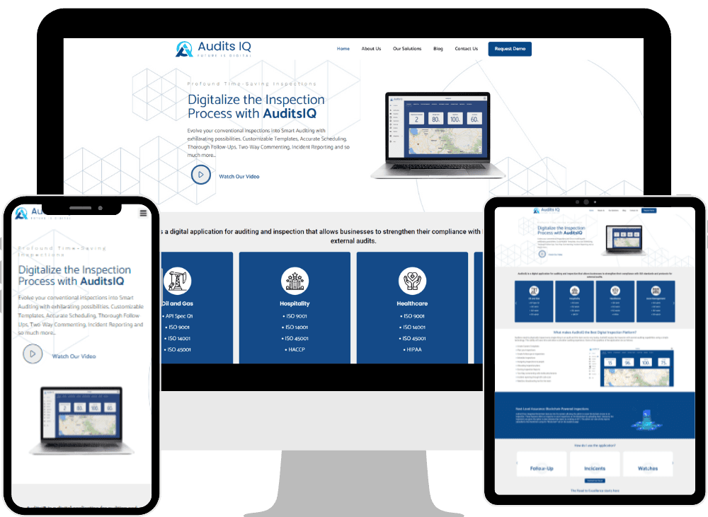 Audits-IQ 4