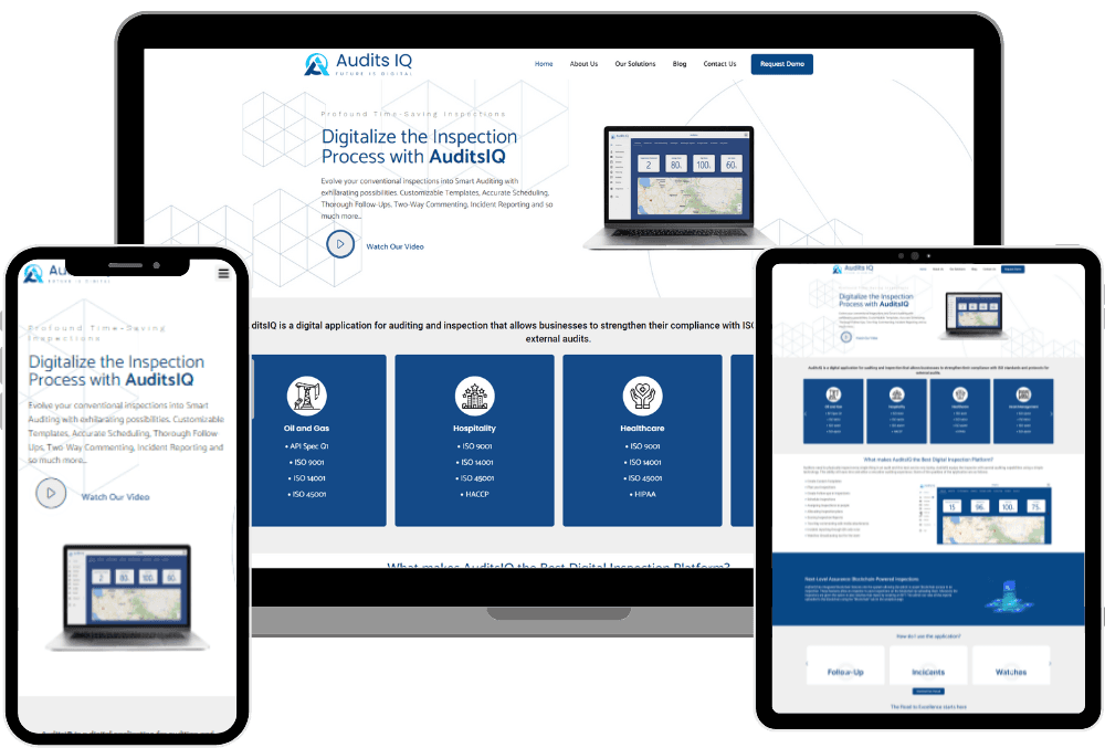 Audits-IQ 3